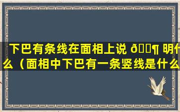 下巴有条线在面相上说 🐶 明什么（面相中下巴有一条竖线是什么意思）